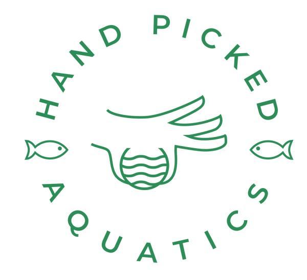 Hand Picked Aquatics 