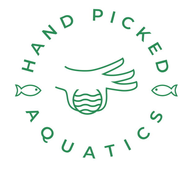 Hand Picked Aquatics