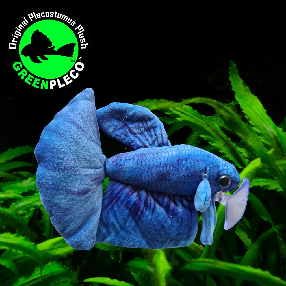 Blue Betta Fish | Plushie