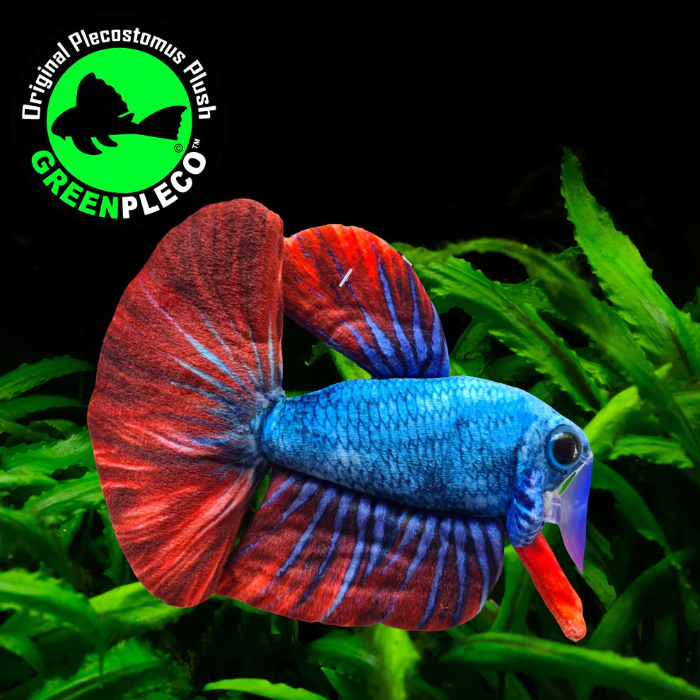 Blue and Red Betta Fish | Plushie