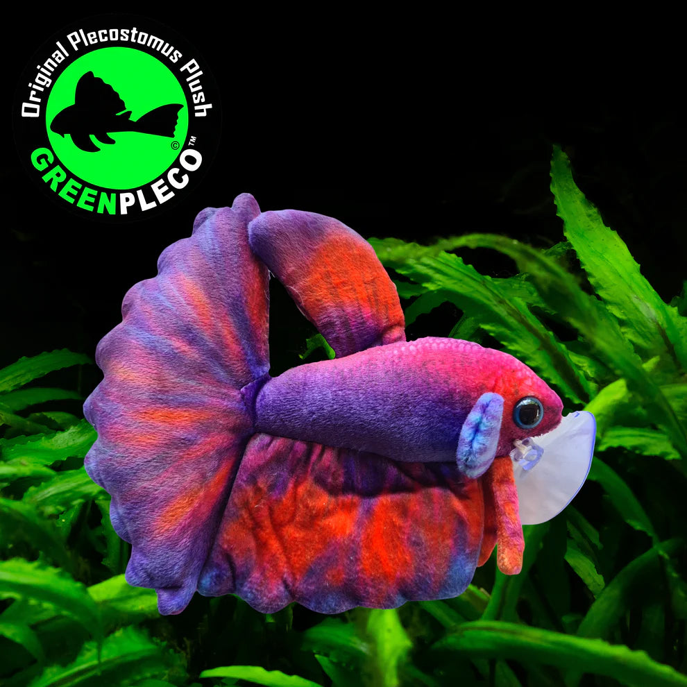 Purple and Orange Betta Fish | Plushie