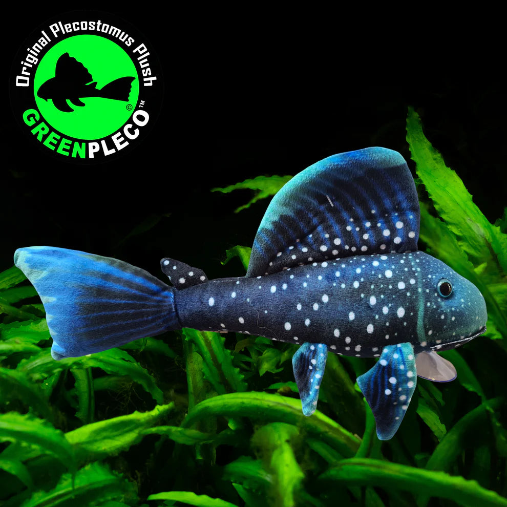 Blue Phantom Pleco | Plushie