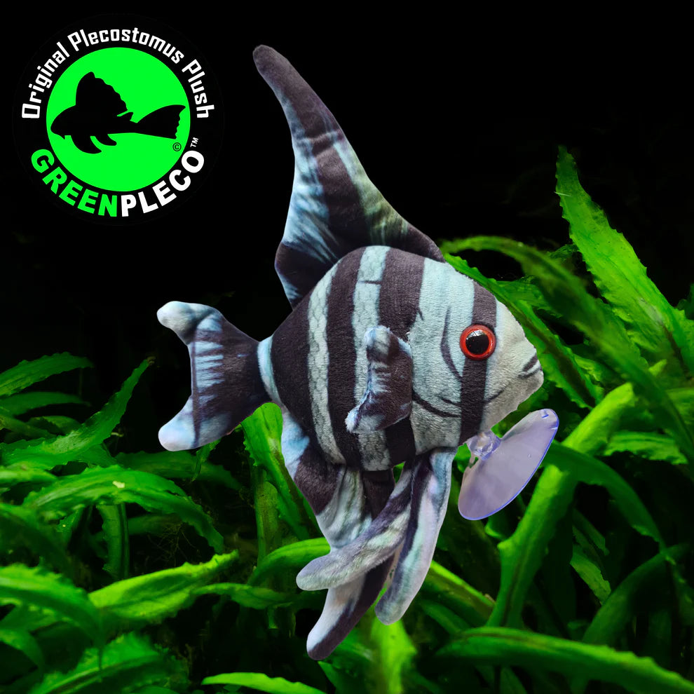 Angelfish Blue Zebra | Plush