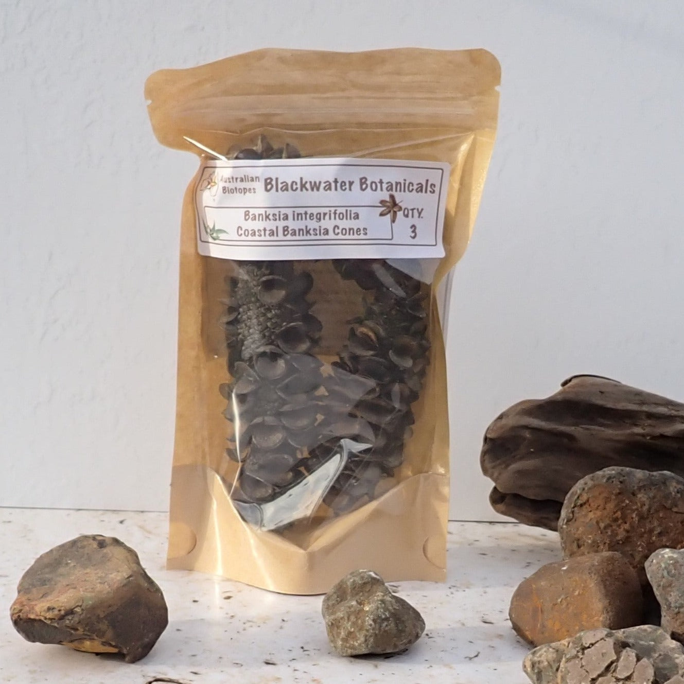 Coastal Banksia Cones x 3 | Blackwater Botanicals