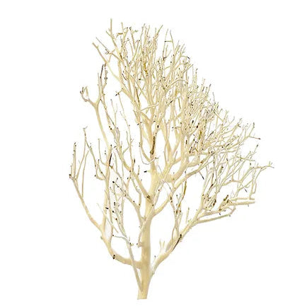 Coral Wood Small