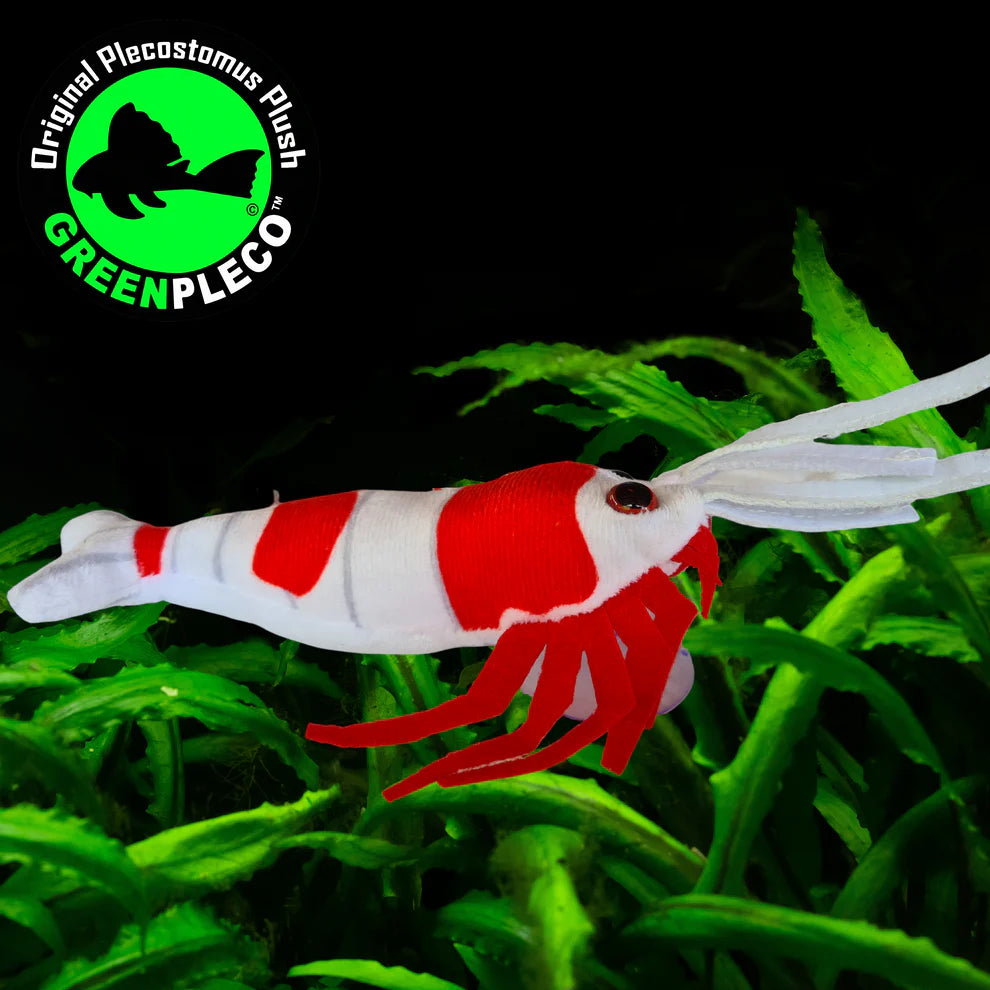 Crystral Red Shrimp | Plushie