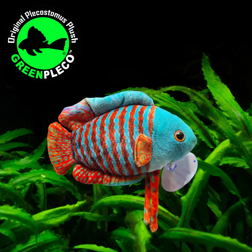 Dwarf Gourami | Plushie