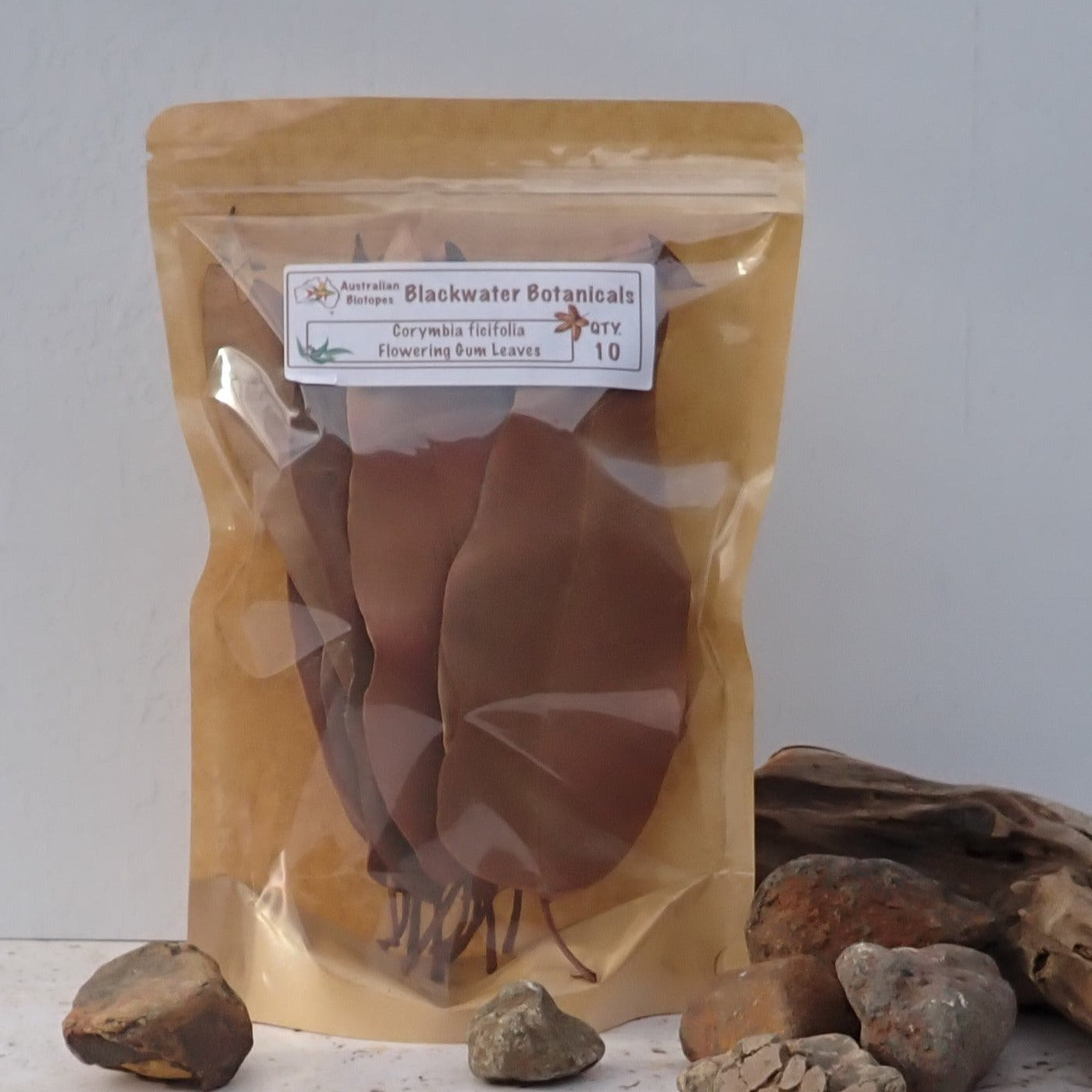 Flowering Gum Leaves x 10 | Blackwater Botanicals