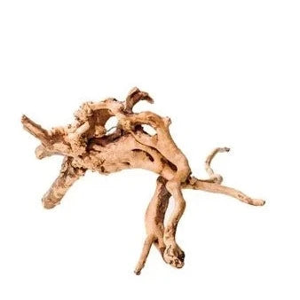  Gold Vine Wood Nano - About 15cm