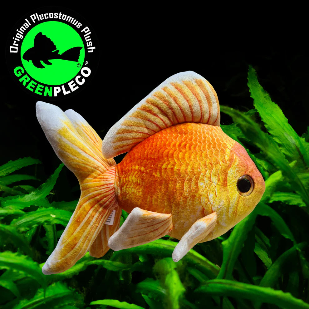 Goldfish | Plushie
