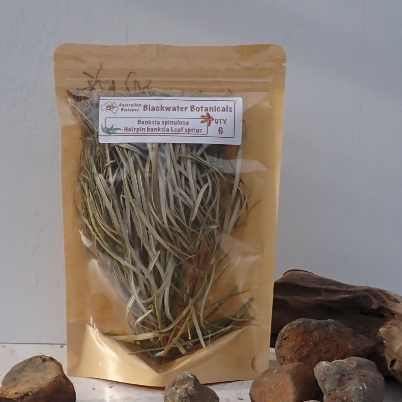 Hairpin Banksia Leaf Sprigs x 6 | Blackwater Botanicals