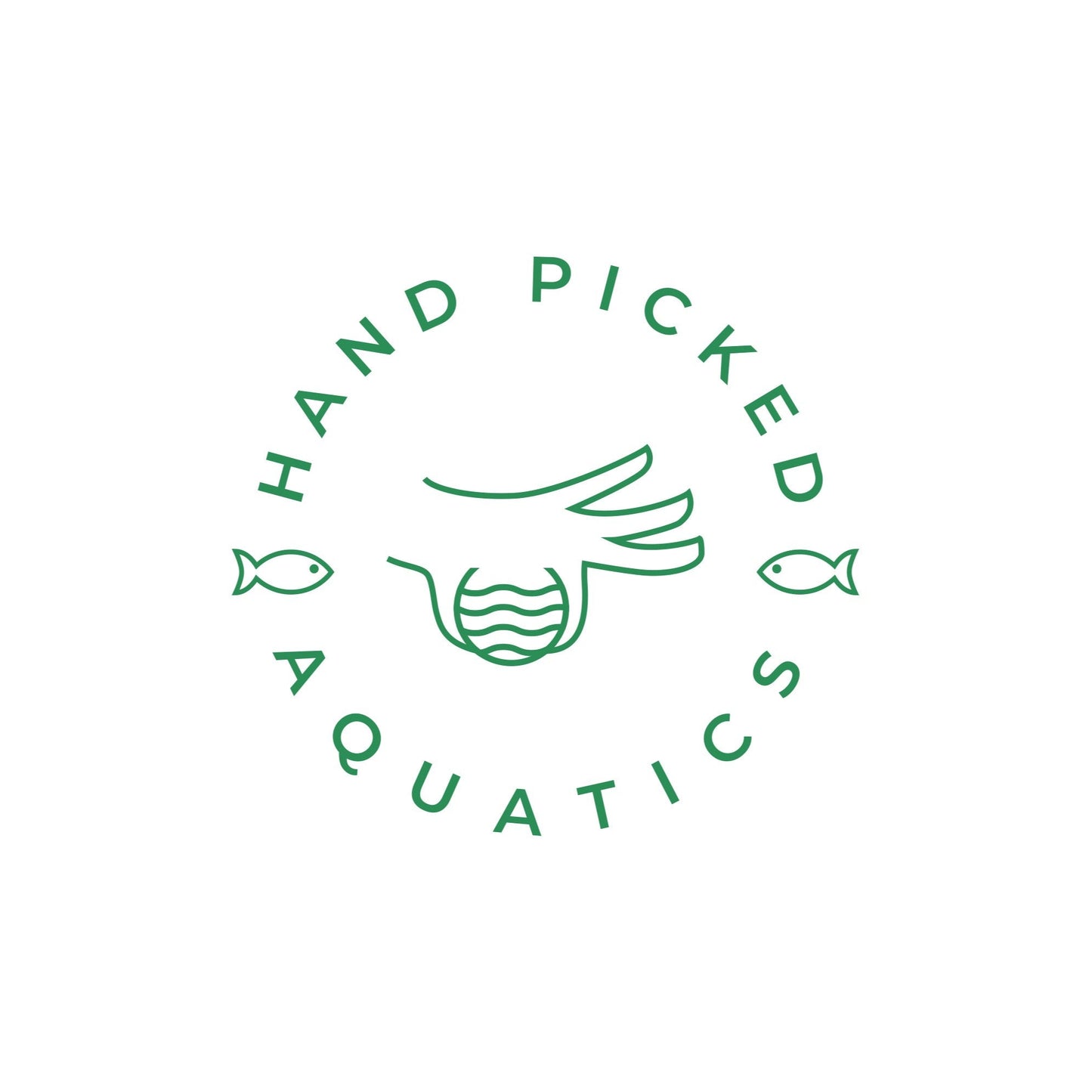 Hand Picked Aquatics Logo for Gift Card