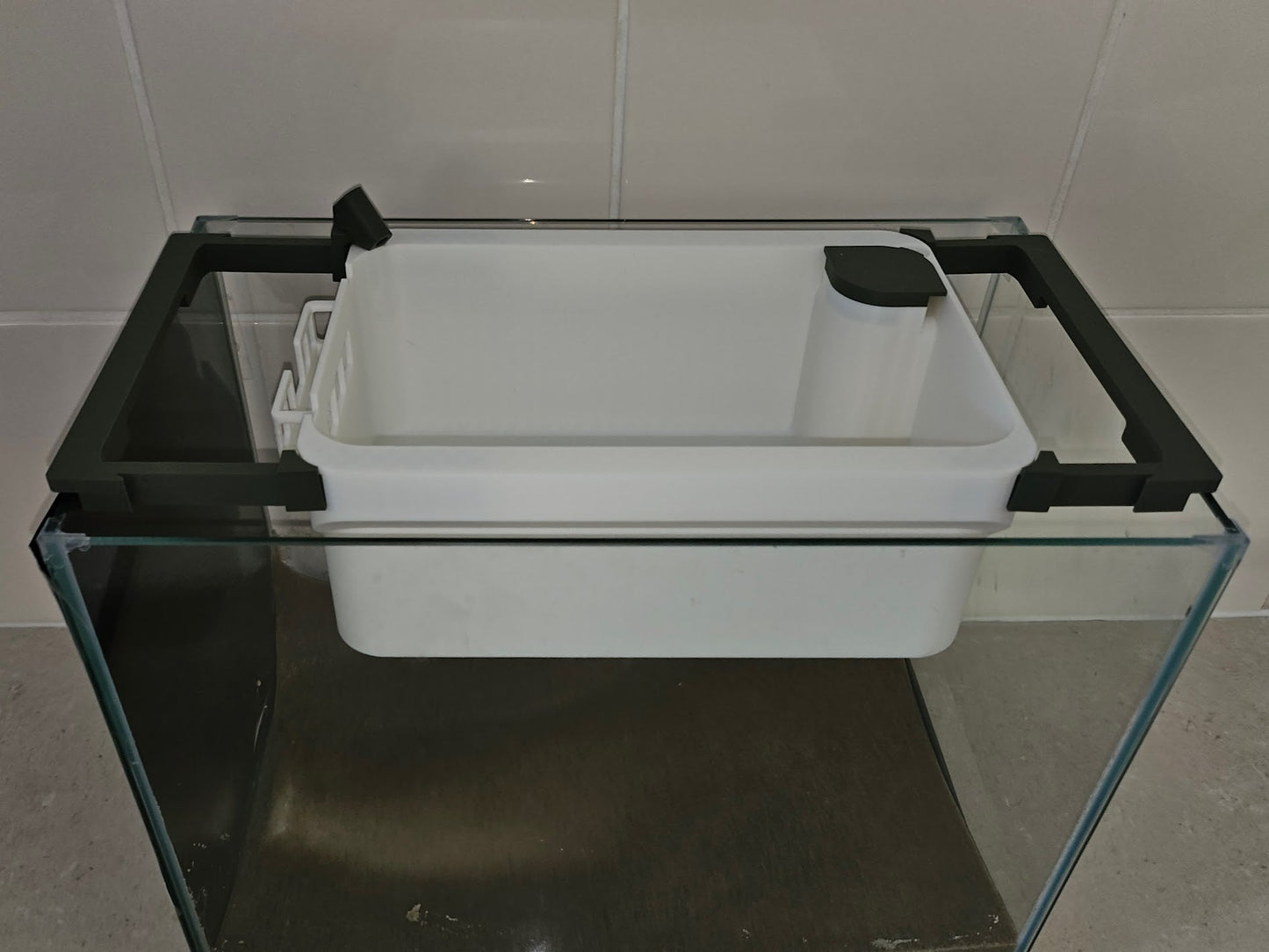 Large Olive Fry Tray on Small aquarium