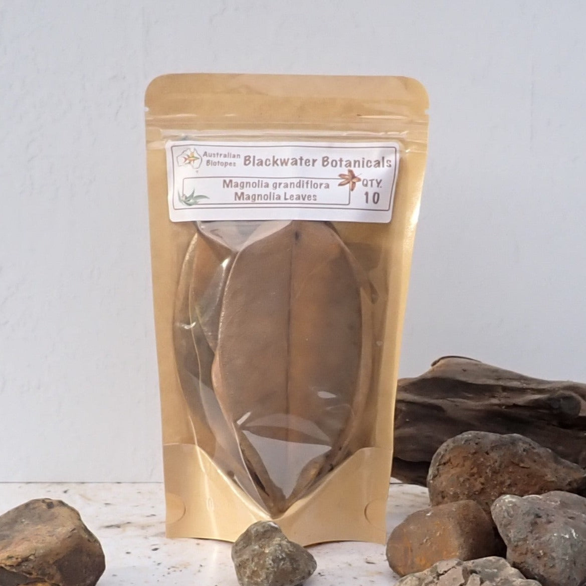 Magnolia Leaves x 10 | Blackwater Botanicals