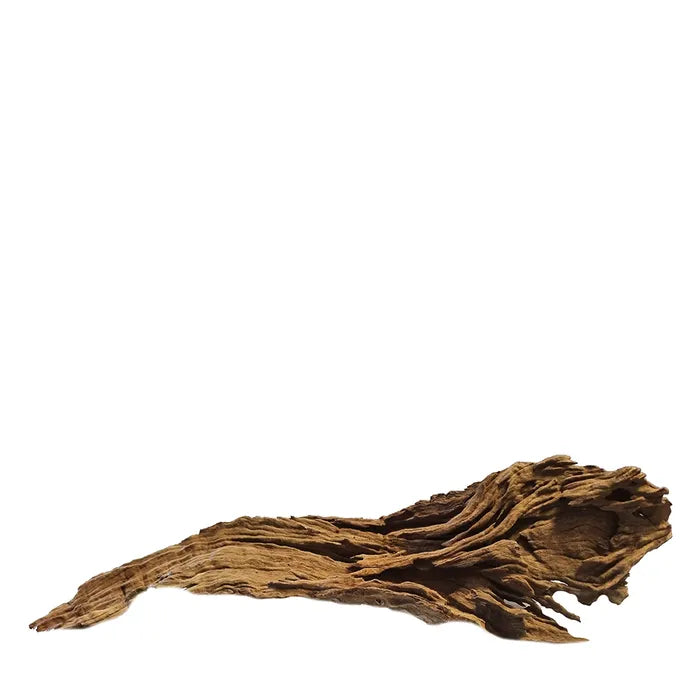 Mekong River Driftwood Small 20cm