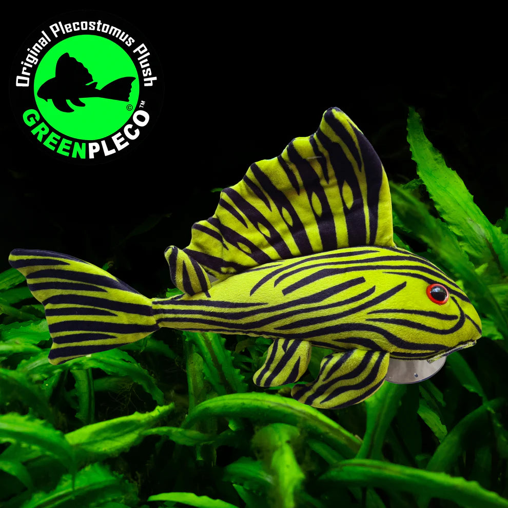 Royal Pleco | Plushie