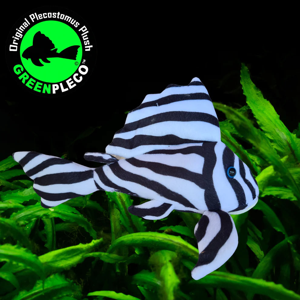 Zebra Pleco | Plushie