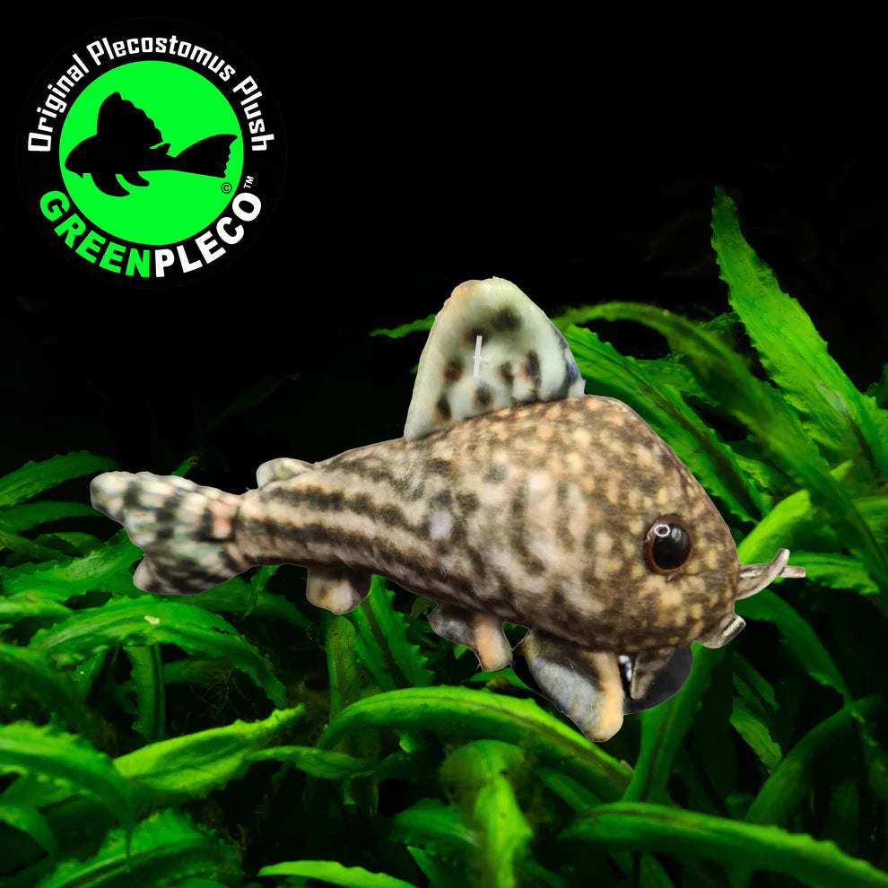 Sterbai Corydora | Plushie