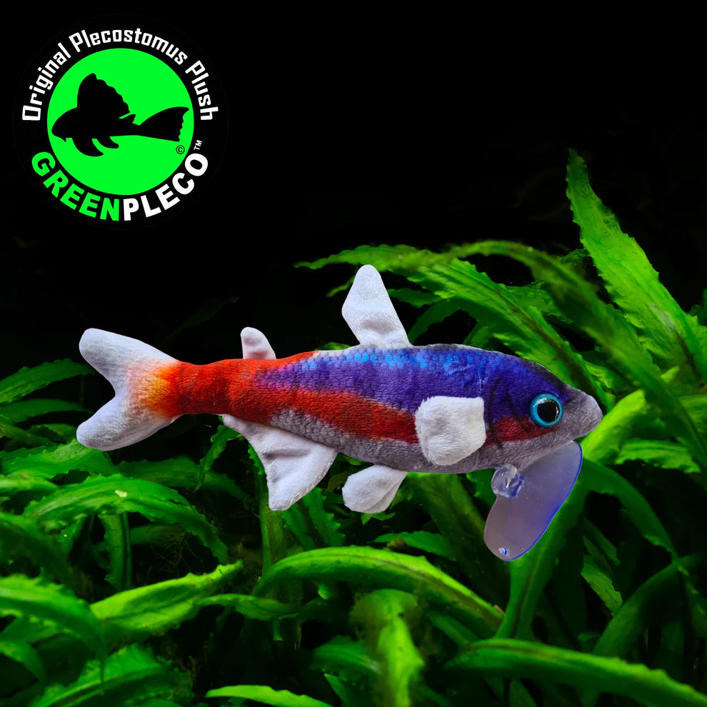 Cardinal Tetra | Plushie