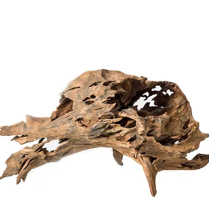 Wizard Driftwood - Magical!