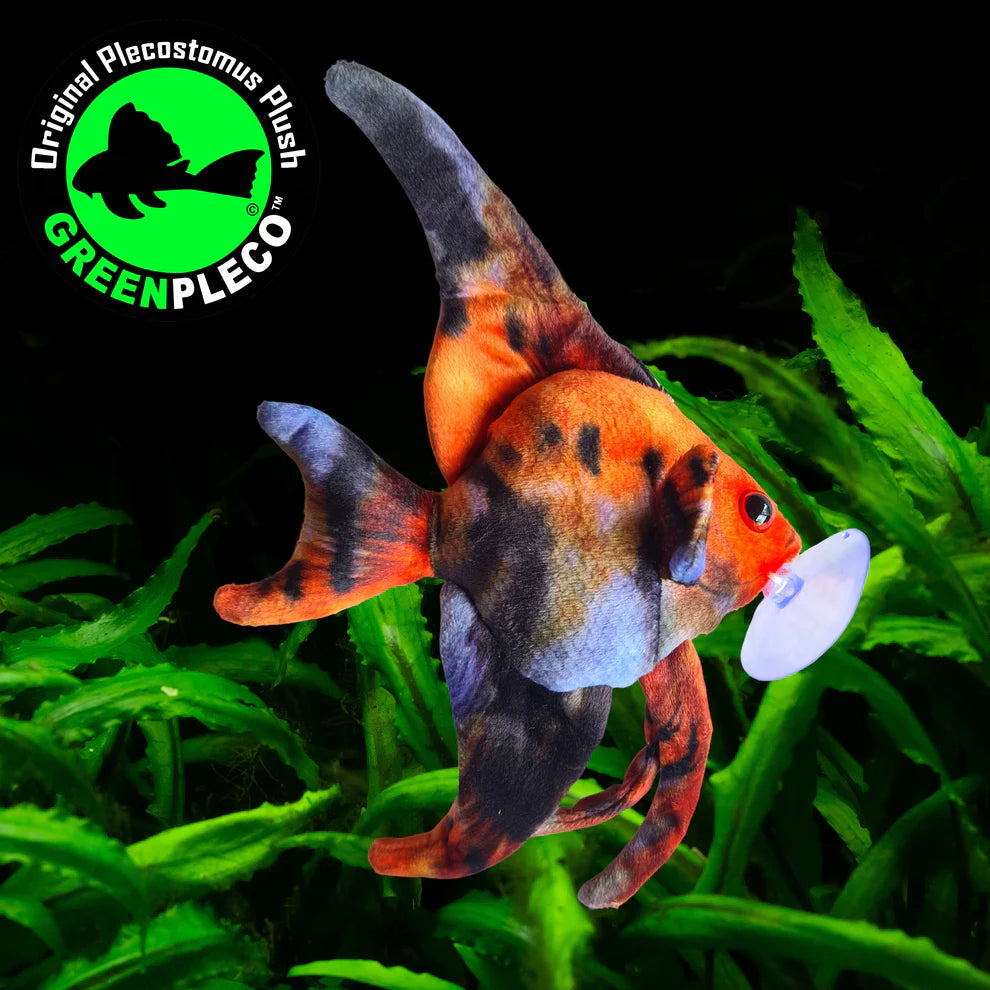 Angelfish Sunset | Plush