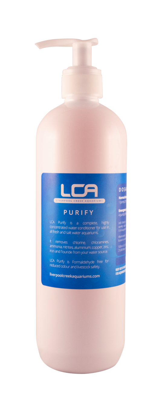 Purify Bottle