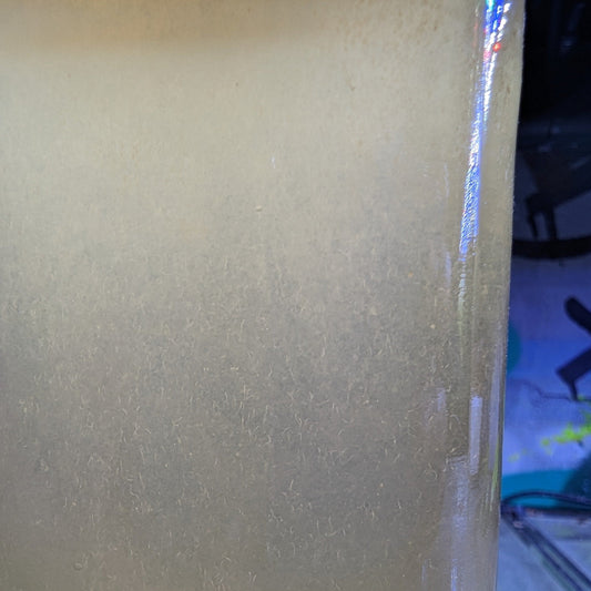 4 x Live Food | Fry Food Pack