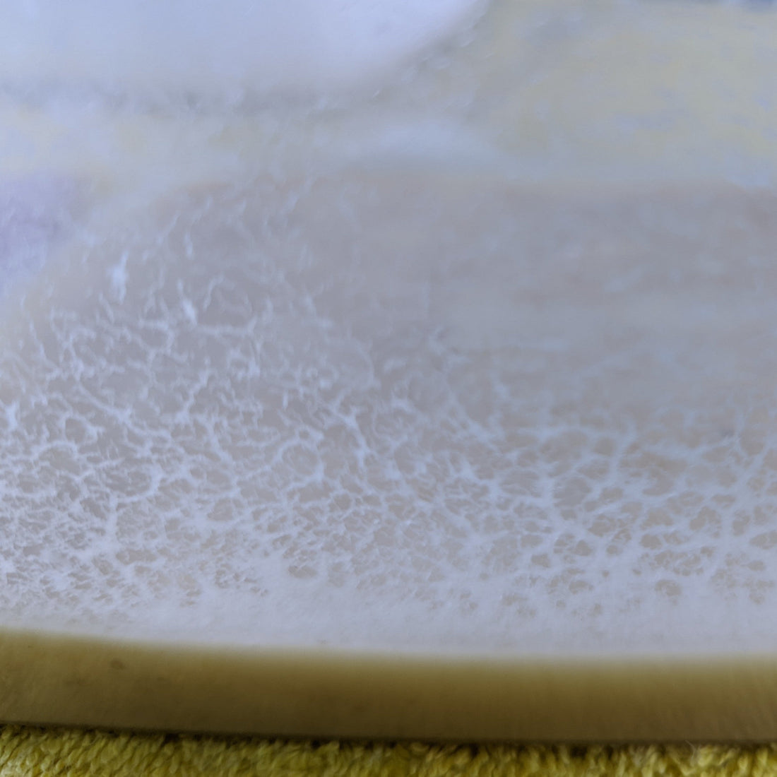 Culturing Microworms and Banana Worms | Nutritious Fry Food Made Simple