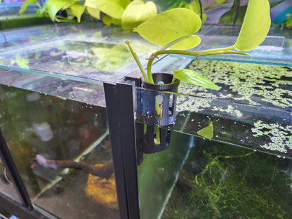 Cutting Keeper - Keep cuttings & plants in your aquarium