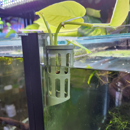 Cutting Keeper - Keep cuttings & plants in your aquarium