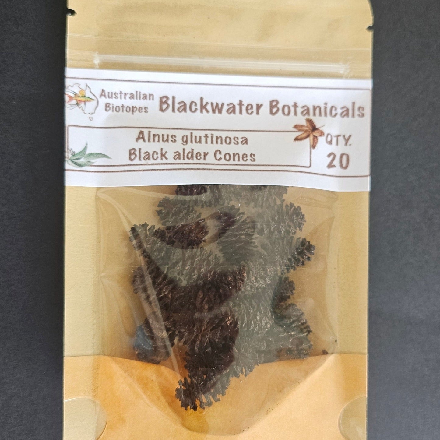 Black Alder Cones x 20 | Blackwater Botanicals