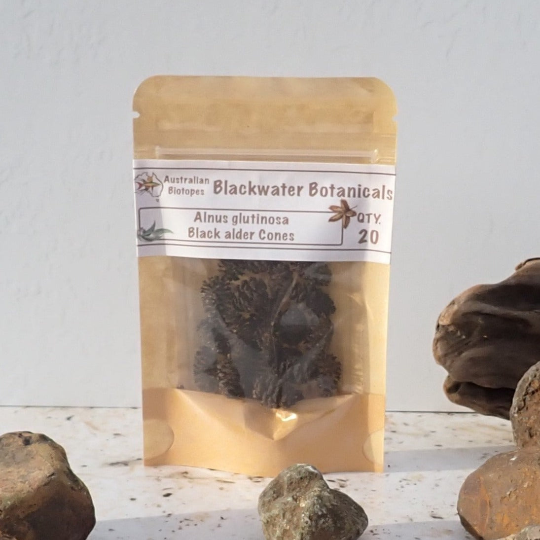 Black Alder Cones pack of 20 from Blackwater Botanicals