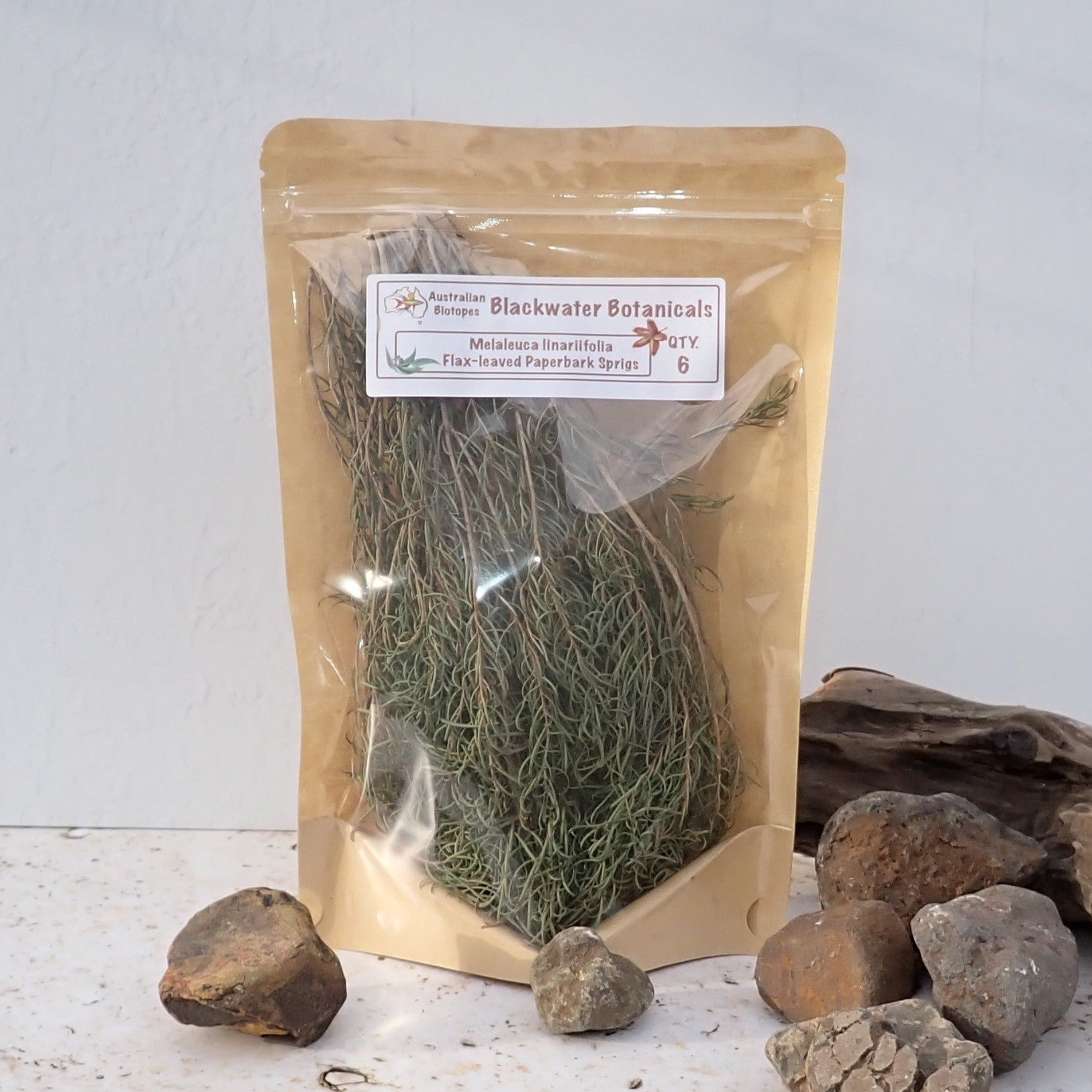 Flax-leaved paperbark Sprigs pack of 6 from Australian Biotopes Blackwater Botanicals