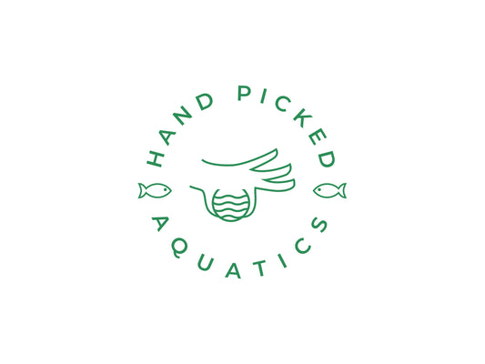 Gift Card - Hand Picked Aquatics