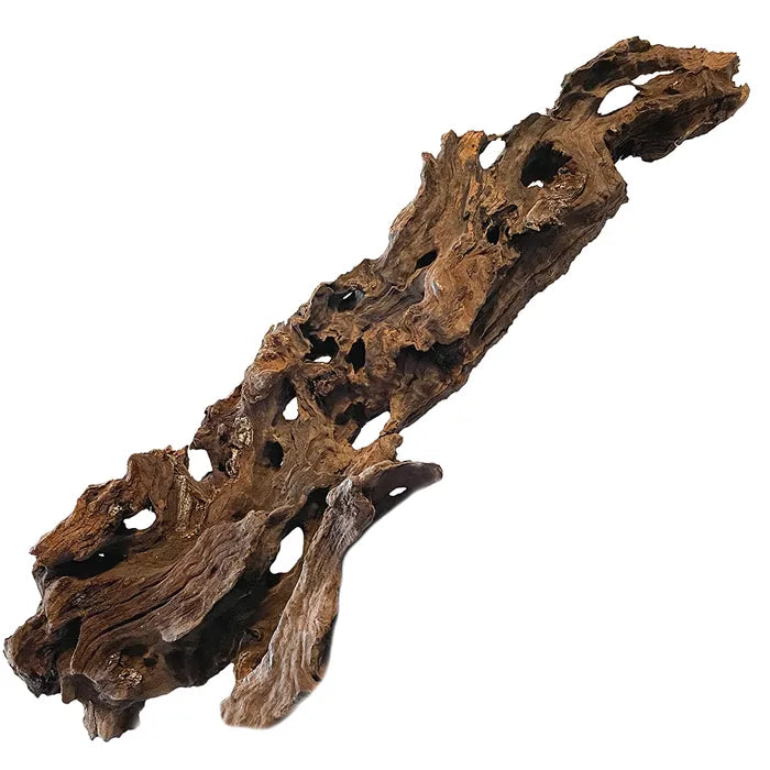 Honeycomb driftwood features natural caves and textures, perfect for fish, shrimp, and reptiles. With minimal tannins, it won’t darken your water. Each piece is one of a kind