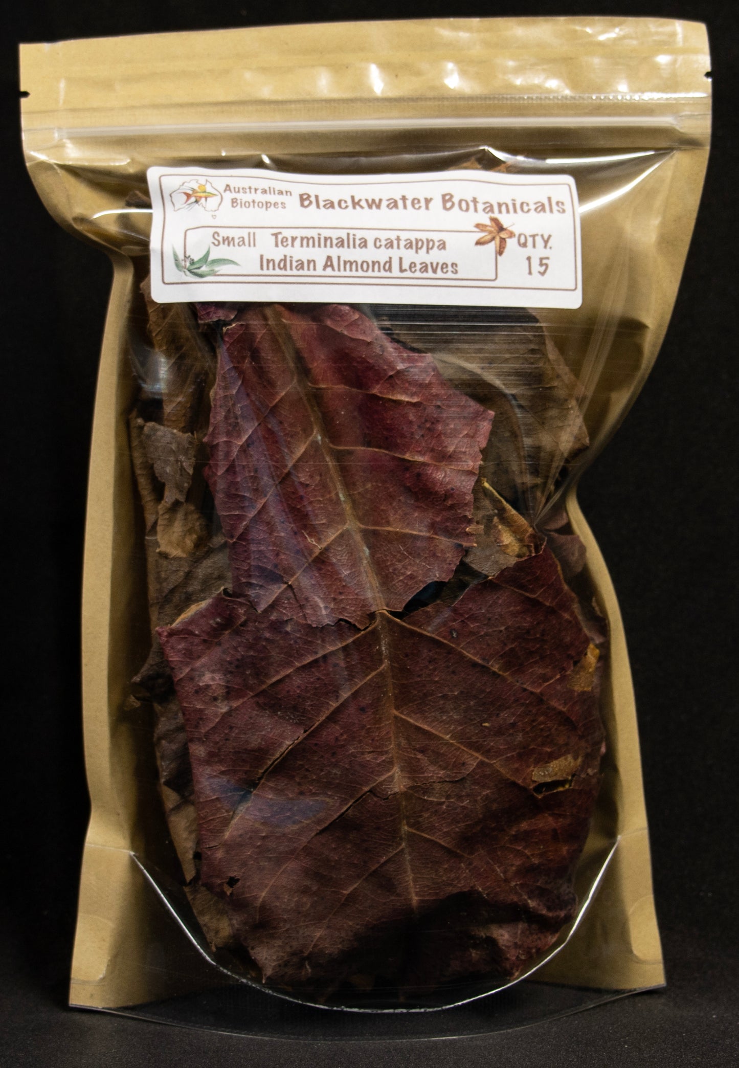 Indian Almond Leaves - Small x 15 | Blackwater Botanicals