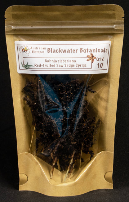 Red-fruited Saw Sedge Sprigs x 10 | Blackwater Botanicals