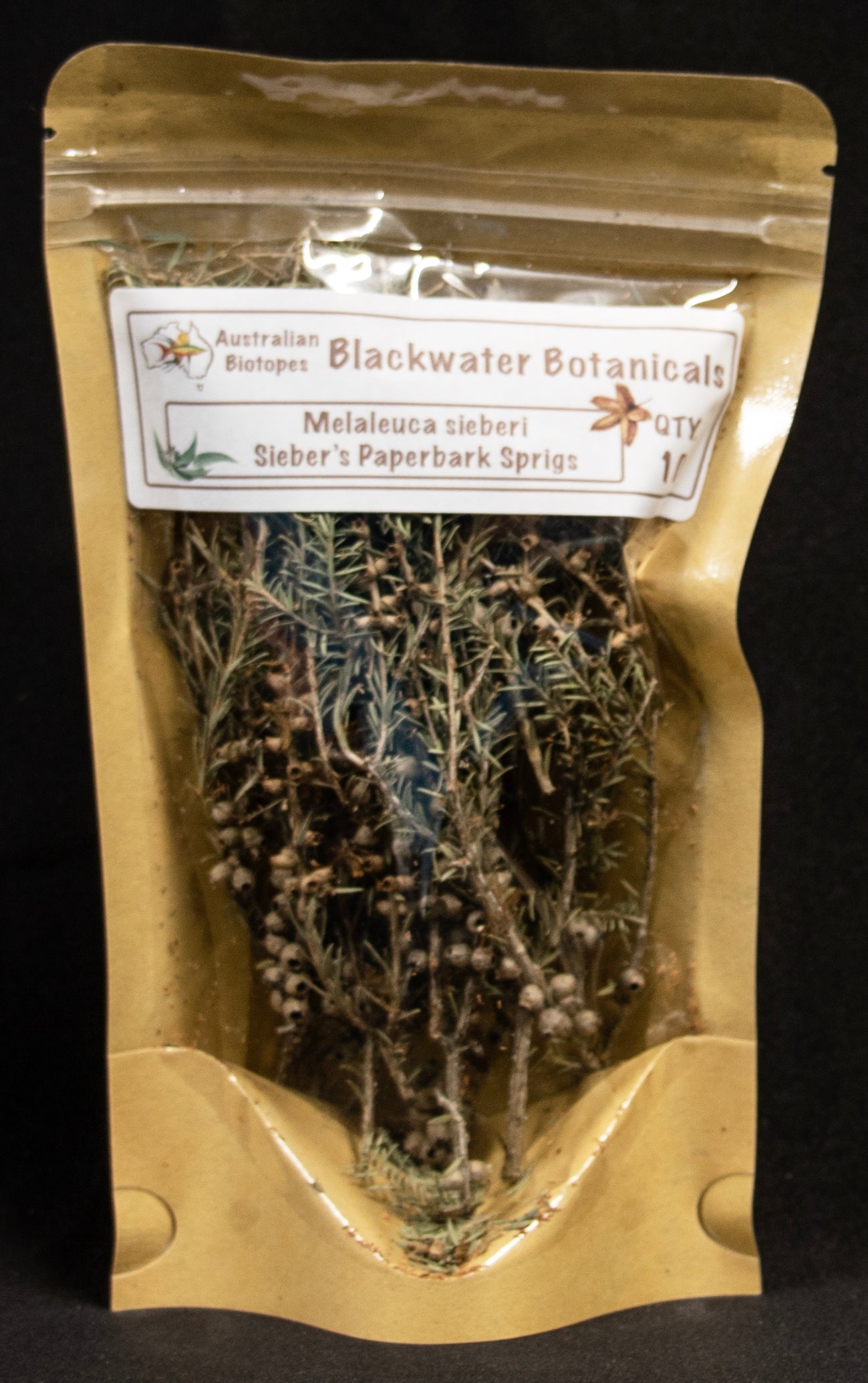 Sieber's Paperbark Sprigs x 10 | Blackwater Botanicals