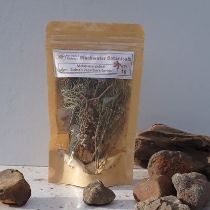 Sieber's Paperbark Sprigs x 10 | Blackwater Botanicals